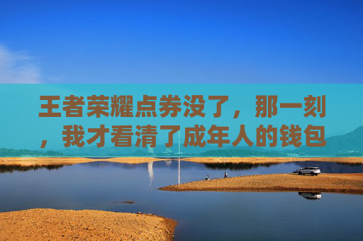 王者荣耀点券没了，那一刻，我才看清了成年人的钱包与青春