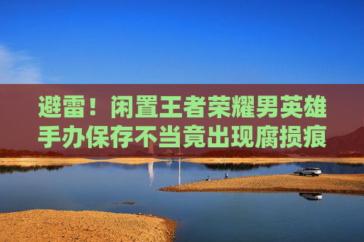 避雷！闲置王者荣耀男英雄手办保存不当竟出现腐损痕迹