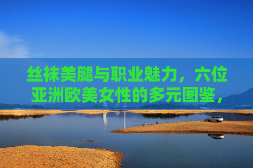 丝袜美腿与职业魅力，六位亚洲欧美女性的多元图鉴，丝袜美腿与职业魅力，亚洲欧美女性多元图鉴