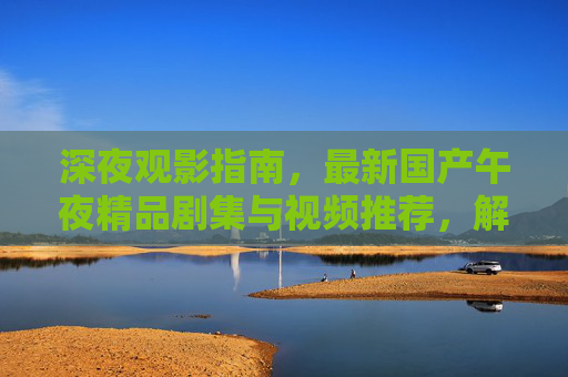 深夜观影指南，最新国产午夜精品剧集与视频推荐，解锁你的深夜专属时光