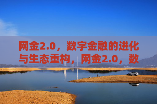网金2.0，数字金融的进化与生态重构，网金2.0，数字金融的进化与生态重构