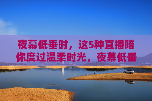 夜幕低垂时，这5种直播陪你度过温柔时光，夜幕低垂时，5种直播陪你度过温柔时光