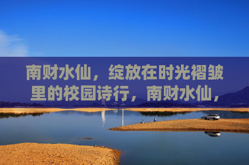 南财水仙,绽放在时光褶皱里的校园诗行,南财水仙,时光褶皱里的校园诗行 南财水仙,绽放在时光褶皱里的校园诗行,南财水仙,时光褶皱里的校园诗行