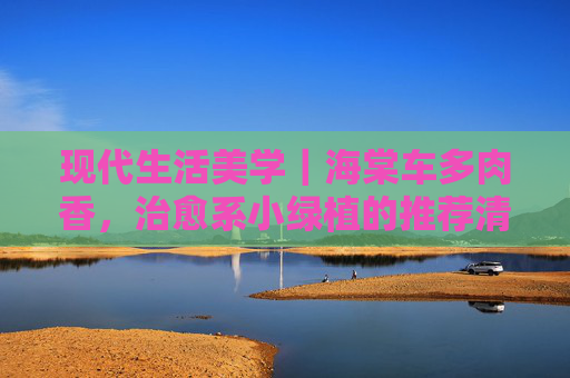 现代生活美学|海棠车多肉香,治愈系小绿植的推荐清单,海棠车多肉香,治愈系小绿植的现代生活美学推荐 现代生活美学|海棠车多肉香,治愈系小绿植的推荐清单,海棠车多肉香,治愈系小绿植的现代生活美学推荐