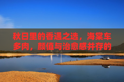 秋日里的香遇之选,海棠车多肉,颜值与治愈感并存的小景致,秋日海棠车多肉,颜值与治愈并存的小景致 秋日里的香遇之选,海棠车多肉,颜值与治愈感并存的小景致,秋日海棠车多肉,颜值与治愈并存的小景致