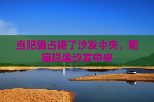 当肥猫占据了沙发中央,肥猫稳坐沙发中央 当肥猫占据了沙发中央,肥猫稳坐沙发中央