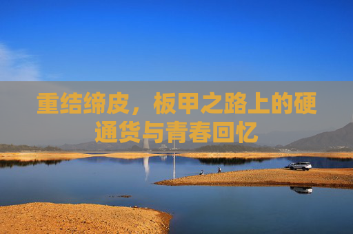 重结缔皮，板甲之路上的硬通货与青春回忆