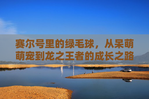 赛尔号里的绿毛球，从呆萌萌宠到龙之王者的成长之路，赛尔号绿毛球，从呆萌萌宠到龙之王者的华丽蜕变