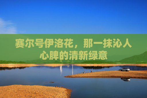 赛尔号伊洛花，那一抹沁人心脾的清新绿意