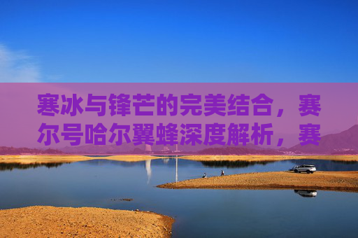 寒冰与锋芒的完美结合，赛尔号哈尔翼蜂深度解析，赛尔号哈尔翼蜂深度解析，寒冰与锋芒的完美结合
