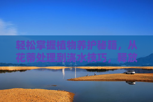 轻松掌握植物养护秘籍,从花蒂处理到浇水技巧,释放自然活力实用教程,植物养护实用秘籍,花蒂处理到浇水技巧,轻松释放自然活力 轻松掌握植物养护秘籍,从花蒂处理到浇水技巧,释放自然活力实用教程,植物养护实用秘籍,花蒂处理到浇水技巧,轻松释放自然活力