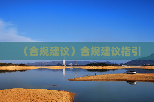 (合规建议)合规建议指引 (合规建议)合规建议指引