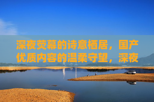 深夜荧幕的诗意栖居，国产优质内容的温柔守望，深夜荧幕的诗意栖居，国产优质内容的温柔守望
