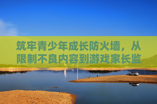 筑牢青少年成长防火墙,从限制不良内容到游戏家长监控的协同守护,筑牢青少年成长防火墙,内容限制与游戏监控的协同守护 筑牢青少年成长防火墙,从限制不良内容到游戏家长监控的协同守护,筑牢青少年成长防火墙,内容限制与游戏监控的协同守护