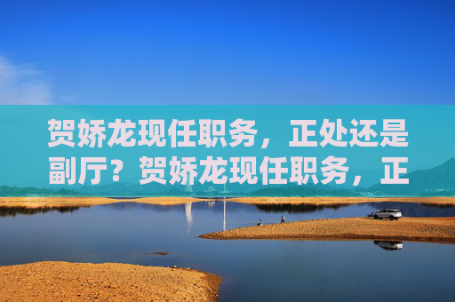 贺娇龙现任职务,正处还是副厅?贺娇龙现任职务,正处还是副厅? 贺娇龙现任职务,正处还是副厅?贺娇龙现任职务,正处还是副厅?