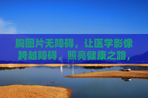 胸图片无障碍,让医学影像跨越障碍,照亮健康之路,胸图片无障碍,医学影像跨越障碍,照亮健康之路 胸图片无障碍,让医学影像跨越障碍,照亮健康之路,胸图片无障碍,医学影像跨越障碍,照亮健康之路