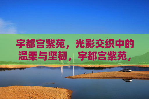宇都宫紫苑，光影交织中的温柔与坚韧，宇都宫紫苑，光影交织的温柔与坚韧
