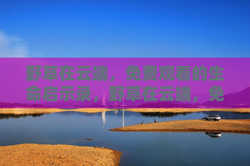 野草在云端，免费观看的生命启示录，野草在云端，免费观看的生命启示录