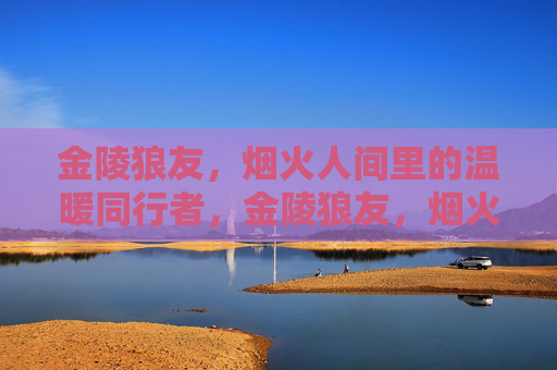 金陵狼友，烟火人间里的温暖同行者，金陵狼友，烟火人间的温暖同行者