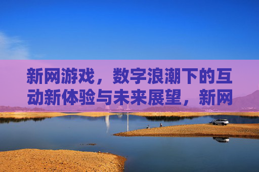 新网游戏，数字浪潮下的互动新体验与未来展望，新网游戏，数字浪潮下的互动新体验与未来展望