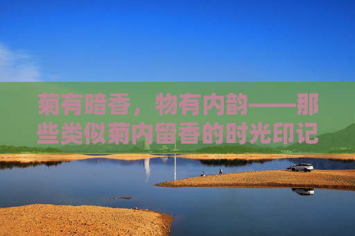 菊有暗香,物有内韵——那些类似菊内留香的时光印记,暗香菊韵,时光留痕 菊有暗香,物有内韵——那些类似菊内留香的时光印记,暗香菊韵,时光留痕