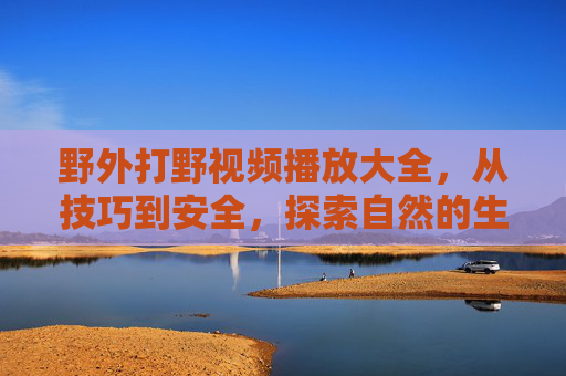 野外打野视频播放大全,从技巧到安全,探索自然的生存密码,野外打野,技巧、安全与自然生存全解析 野外打野视频播放大全,从技巧到安全,探索自然的生存密码,野外打野,技巧、安全与自然生存全解析