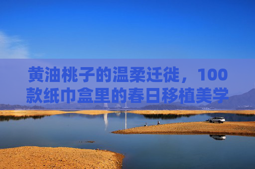 黄油桃子的温柔迁徙，100款纸巾盒里的春日移植美学，黄油桃子的温柔迁徙，纸巾盒春日移植美学