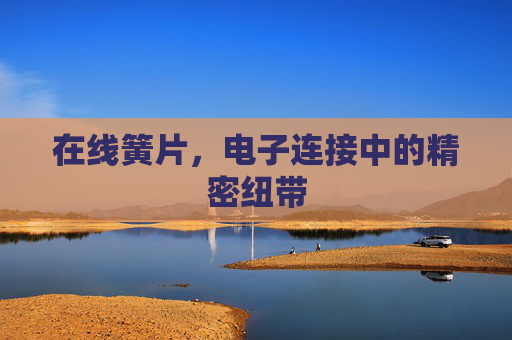 在线簧片,电子连接中的精密纽带 在线簧片,电子连接中的精密纽带