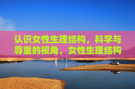认识女性生理结构,科学与尊重的视角,女性生理结构,科学与尊重的视角 认识女性生理结构,科学与尊重的视角,女性生理结构,科学与尊重的视角
