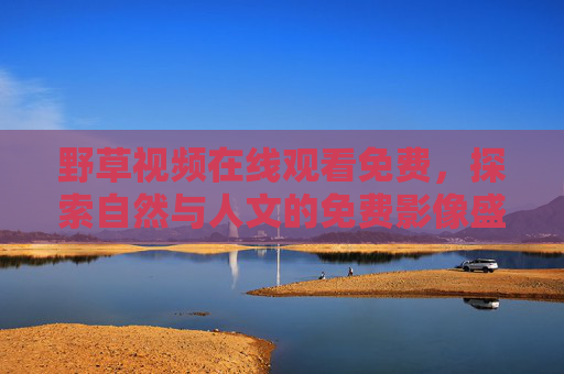 野草视频在线观看免费,探索自然与人文的免费影像盛宴,免费野草视频,自然人文影像盛宴 野草视频在线观看免费,探索自然与人文的免费影像盛宴,免费野草视频,自然人文影像盛宴