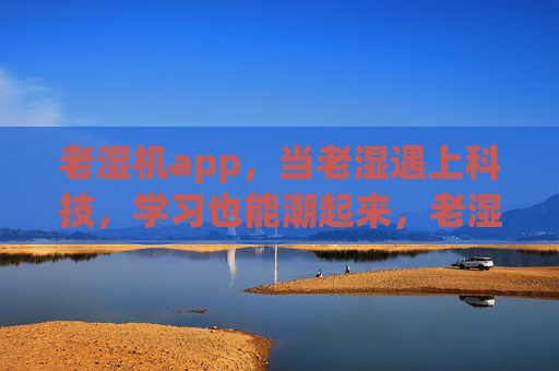 老湿机app,当老湿遇上科技,学习也能潮起来,老湿机app,科技潮伴学习,老湿也时尚 老湿机app,当老湿遇上科技,学习也能潮起来,老湿机app,科技潮伴学习,老湿也时尚