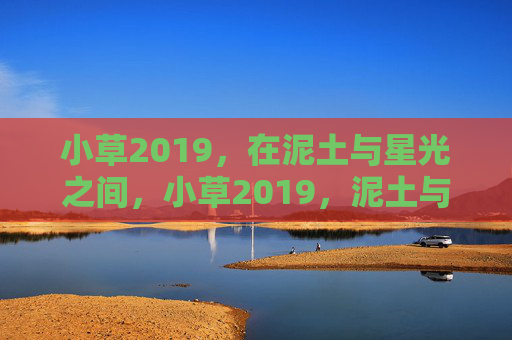 小草2019,在泥土与星光之间,小草2019,泥土与星光之间 小草2019,在泥土与星光之间,小草2019,泥土与星光之间
