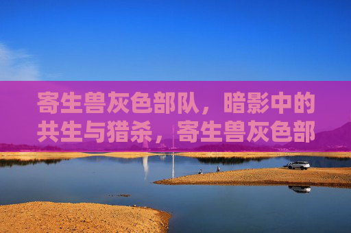 寄生兽灰色部队,暗影中的共生与猎杀,寄生兽灰色部队,暗影共生与猎杀 寄生兽灰色部队,暗影中的共生与猎杀,寄生兽灰色部队,暗影共生与猎杀
