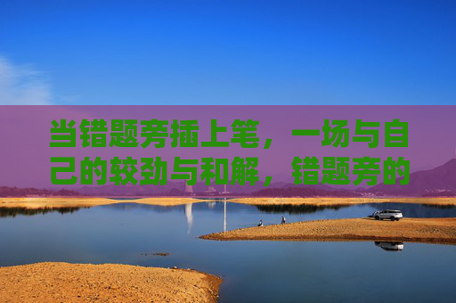 当错题旁插上笔,一场与自己的较劲与和解,错题旁的笔,较劲与和解 当错题旁插上笔,一场与自己的较劲与和解,错题旁的笔,较劲与和解