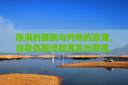 胀满的膀胱与灼热的尿液,当身体用烫和黄发出警报,膀胱胀满、尿液灼热发黄,身体的警报 胀满的膀胱与灼热的尿液,当身体用烫和黄发出警报,膀胱胀满、尿液灼热发黄,身体的警报