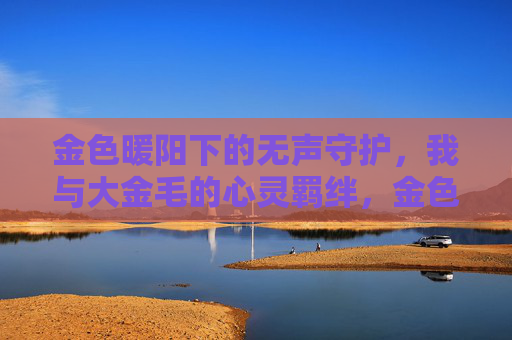 金色暖阳下的无声守护,我与大金毛的心灵羁绊,金色暖阳,无声守护,我与大金毛的心灵羁绊 金色暖阳下的无声守护,我与大金毛的心灵羁绊,金色暖阳,无声守护,我与大金毛的心灵羁绊