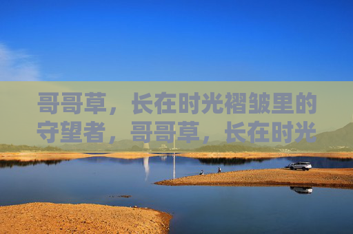 哥哥草,长在时光褶皱里的守望者,哥哥草,长在时光褶皱里的守望者 哥哥草,长在时光褶皱里的守望者,哥哥草,长在时光褶皱里的守望者