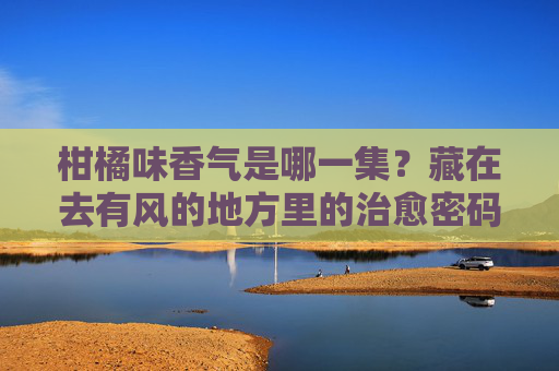 柑橘味香气是哪一集?藏在去有风的地方里的治愈密码,去有风的地方,柑橘味香气里的治愈密码 柑橘味香气是哪一集?藏在去有风的地方里的治愈密码,去有风的地方,柑橘味香气里的治愈密码