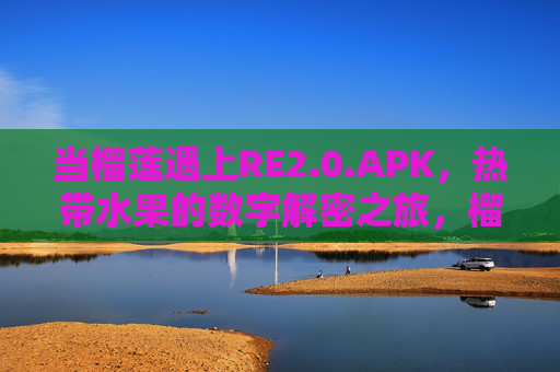 当榴莲遇上RE2.0.APK,热带水果的数字解密之旅,榴莲遇上RE2.0.APK,热带水果数字解密之旅 当榴莲遇上RE2.0.APK,热带水果的数字解密之旅,榴莲遇上RE2.0.APK,热带水果数字解密之旅
