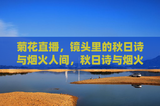 菊花直播，镜头里的秋日诗与烟火人间，秋日诗与烟火人间，镜头里的菊花直播