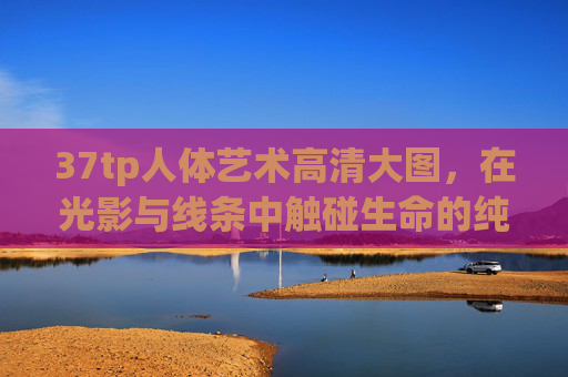 37tp人体艺术高清大图,在光影与线条中触碰生命的纯粹之美,光影线条间,触碰生命的纯粹之美 37tp人体艺术高清大图,在光影与线条中触碰生命的纯粹之美,光影线条间,触碰生命的纯粹之美