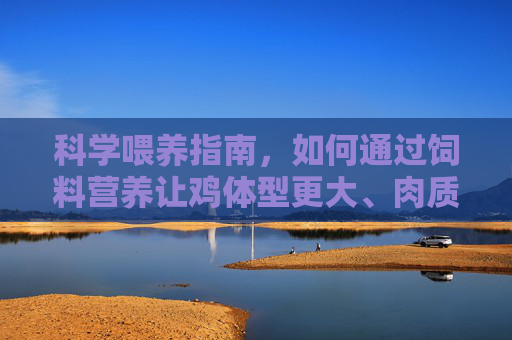 科学喂养指南,如何通过饲料营养让鸡体型更大、肉质更紧实,科学喂养指南,通过饲料营养实现鸡体型大肉质紧实 科学喂养指南,如何通过饲料营养让鸡体型更大、肉质更紧实,科学喂养指南,通过饲料营养实现鸡体型大肉质紧实