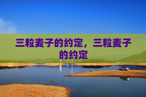 三粒麦子的约定,三粒麦子的约定 三粒麦子的约定,三粒麦子的约定