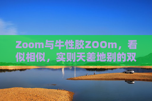 Zoom与牛性胶ZOOm，看似相似，实则天差地别的双Z世界，双Z世界，Zoom与牛性胶ZOOm，看似相似实则天差地别