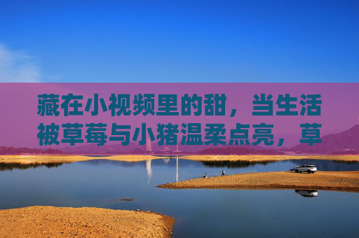 藏在小视频里的甜,当生活被草莓与小猪温柔点亮,草莓小猪藏甜,小视频温柔点亮生活 藏在小视频里的甜,当生活被草莓与小猪温柔点亮,草莓小猪藏甜,小视频温柔点亮生活