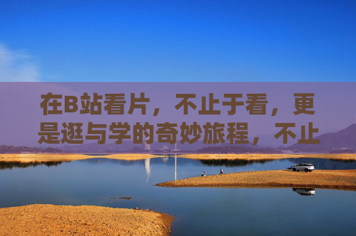 在B站看片,不止于看,更是逛与学的奇妙旅程,不止于看,B站逛与学的奇妙之旅 在B站看片,不止于看,更是逛与学的奇妙旅程,不止于看,B站逛与学的奇妙之旅