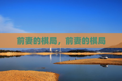 前妻的棋局，前妻的棋局