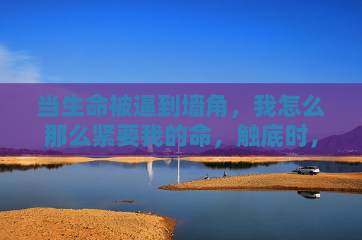 当生命被逼到墙角,我怎么那么紧要我的命,触底时,我才知生命多紧要 当生命被逼到墙角,我怎么那么紧要我的命,触底时,我才知生命多紧要