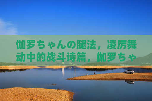 伽罗ちゃんの腿法，凌厉舞动中的战斗诗篇，伽罗ちゃんの凌厉腿法，战斗诗篇中的舞动杀意