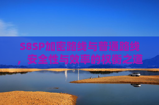 S8SP加密路线与普通路线,安全性与效率的权衡之道,S8SP加密路线与普通路线,安全与效率的权衡之道 S8SP加密路线与普通路线,安全性与效率的权衡之道,S8SP加密路线与普通路线,安全与效率的权衡之道